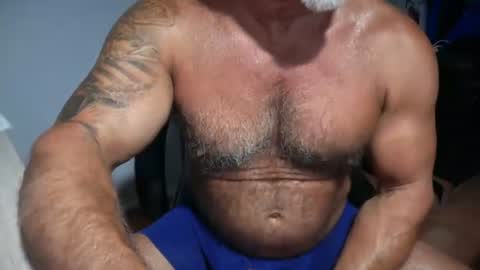 donk566 online show from 21, 7, 2026