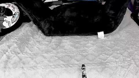 DOOM online show from 4, 3, 2025