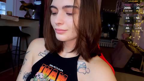 Snapshot of dorfmatratze_ chatting on 12, 12, 2024 Alice online show from 12, 12, 2024