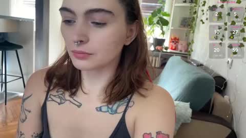 Snapshot of dorfmatratze_ chatting on 27, 2, 2025 Alice online show from 27, 2, 2025