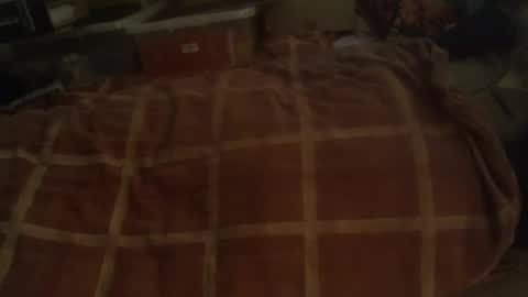Snapshot of dorsetbiker714 chatting on 29, 12, 2024 Hello  welcome to Slutsville  I am the Naked Chef  really  but you may call me Peter online show from 29, 12, 2024