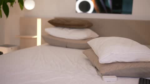    .         . online show from 5, 12, 2025