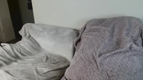 Draya Nicole online show from 5, 12, 2024