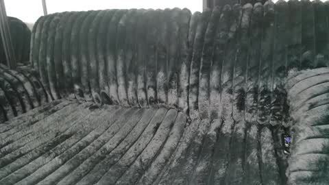 Draya Nicole online show from 9, 3, 2025