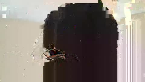 Snapshot of dreadstarr chatting on 10, 3, 2025 Dread online show from 10, 3, 2025