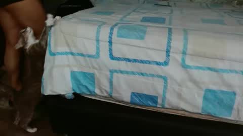 dreamreal online show from 1, 11, 2025