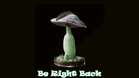 Tara  Sonny online show from 20, 2, 2025