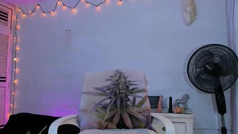 drippyorlove online show from 30, 4, 2026