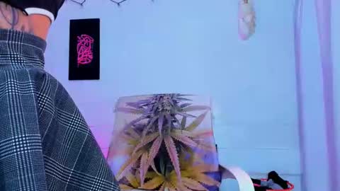drippyorlove online show from 2, 7, 2026