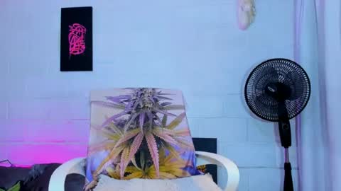 drippyorlove online show from 3, 7, 2026