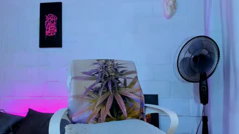 drippyorlove online show from 24, 7, 2026