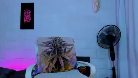 drippyorlove online show from 2, 8, 2026