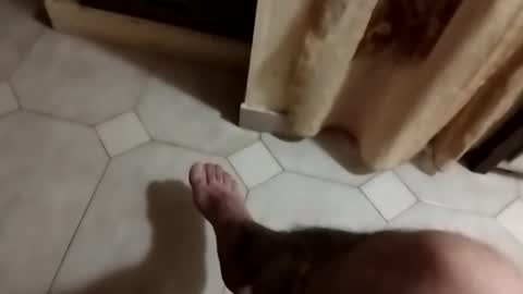 dthedog12 online show from 23, 9, 2025