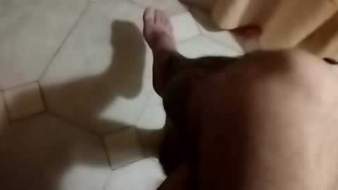 dthedog12 online show from 30, 9, 2025