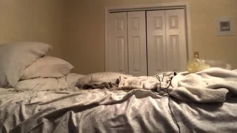 ducebabydee online show from 19, 12, 2025