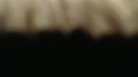 Snapshot of ductorfeelgood chatting on 1, 3, 2025 swiss kiss online show from 1, 3, 2025