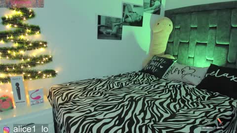 Snapshot of dulce_alice_ chatting on 24, 12, 2024 ALICE online show from 24, 12, 2024