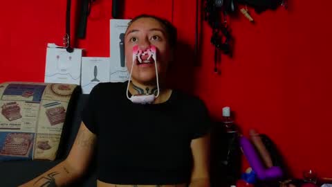 dunnadan_bms online show from 23, 4, 2026