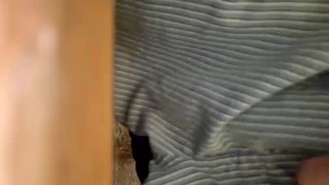 Snapshot of dvelope chatting on 6, 1, 2025 dVe1oPe online show from 6, 1, 2025