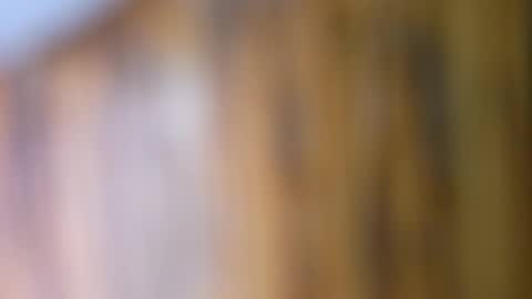 Snapshot of dvelope chatting on 10, 9, 2025 dVe1oPe online show from 10, 9, 2025