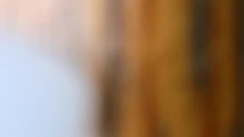 Snapshot of dvelope chatting on 14, 10, 2025 dVe1oPe online show from 14, 10, 2025