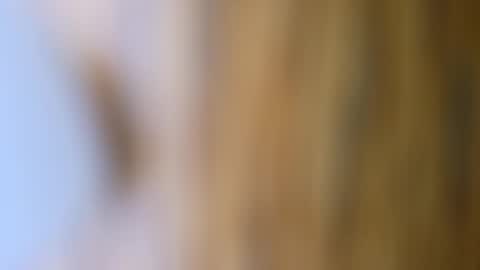 Snapshot of dvelope chatting on 17, 10, 2025 dVe1oPe online show from 17, 10, 2025