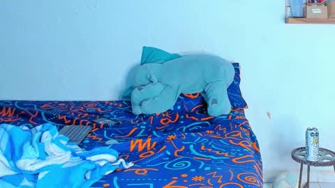 Snapshot of dylan_jake1 chatting on 20, 2, 2026 Dylan online show from 20, 2, 2026