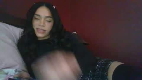 Dynasty online show from 6, 12, 2024