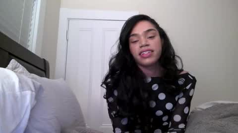 Dynasty online show from 15, 12, 2024