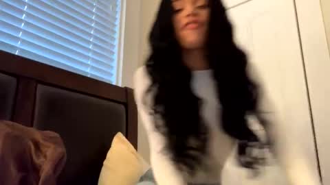 Dynasty online show from 17, 12, 2024