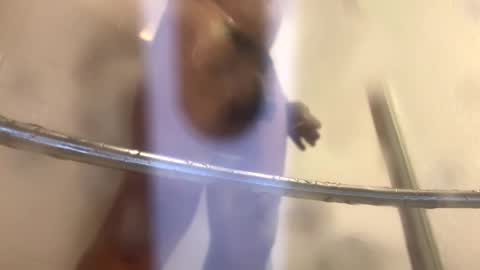 Snapshot of easternjerk chatting on 20, 10, 2025 easternjerk online show from 20, 10, 2025