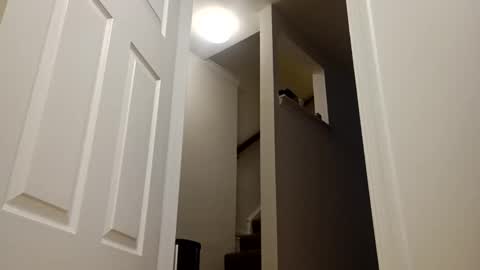 Snapshot of easternjerk chatting on 16, 12, 2025 easternjerk online show from 16, 12, 2025