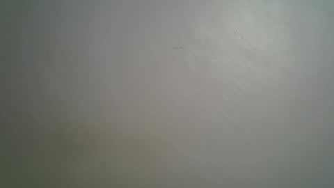 Snapshot of ebonnyqueeen chatting on 15, 3, 2026 Queen online show from 15, 3, 2026