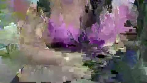 Snapshot of ebonybigtitqueen3 chatting on 4, 11, 2025 ebonybigtitqueen3 online show from 4, 11, 2025