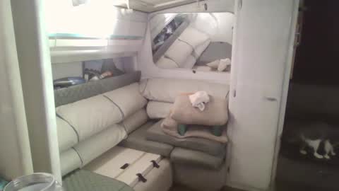 Tim online show from 2, 12, 2024