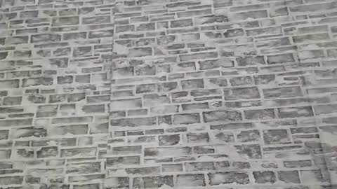 edithmanning online show from 10, 11, 2025