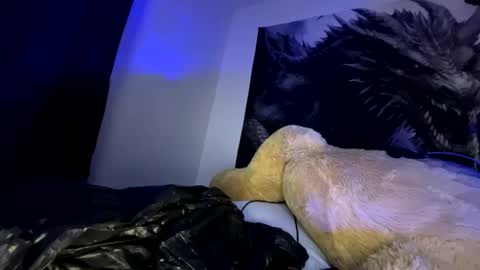 Snapshot of edvmendez1766 chatting on 23, 9, 2025 edvmendez1766 online show from 23, 9, 2025