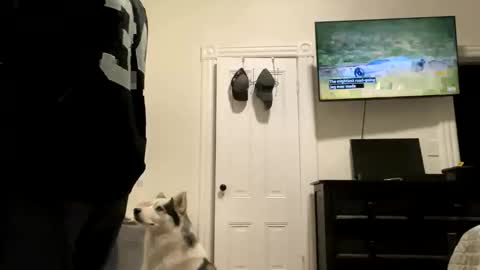 Snapshot of edvmendez1766 chatting on 27, 10, 2025 edvmendez1766 online show from 27, 10, 2025