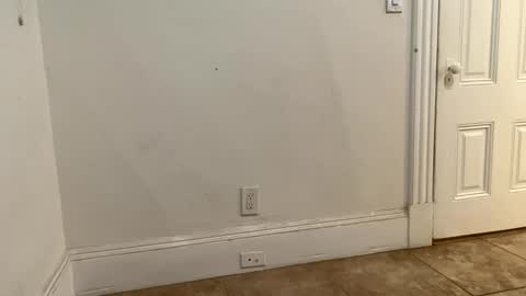 Snapshot of edvmendez1766 chatting on 18, 11, 2025 edvmendez1766 online show from 18, 11, 2025