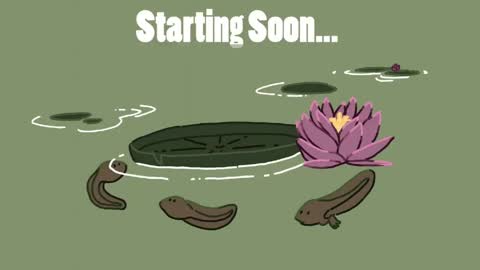 Eimy online show from 14, 4, 2026