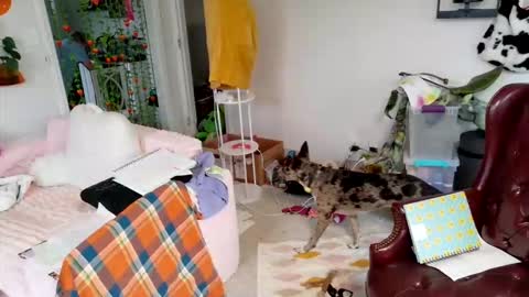 Snapshot of ejrabloom chatting on 16, 3, 2026 ejrabloom online show from 16, 3, 2026