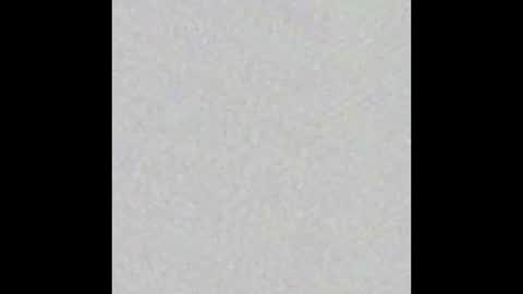 Ekz online show from 16, 2, 2025