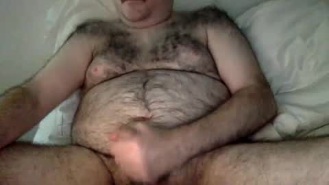 elabear online show from 17, 3, 2026