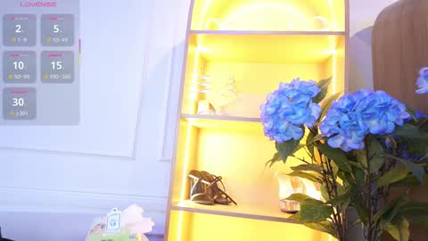 Elasummeer online show from 13, 11, 2025