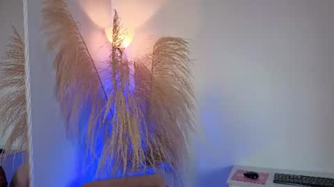 Elecktra online show from 24, 6, 2026