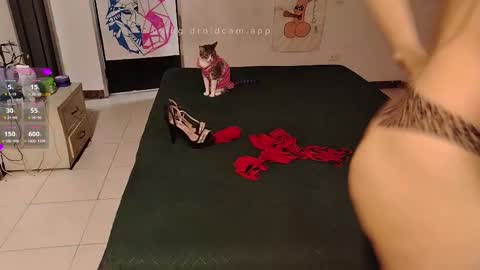 Elektra and Konan online show from 20, 9, 2025