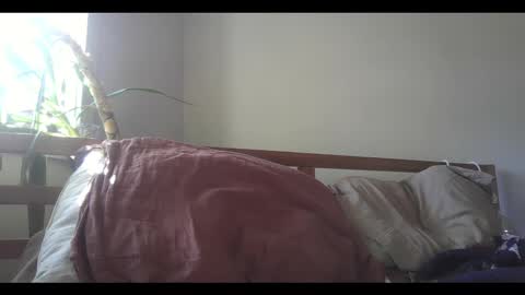 fox online show from 11, 2, 2025