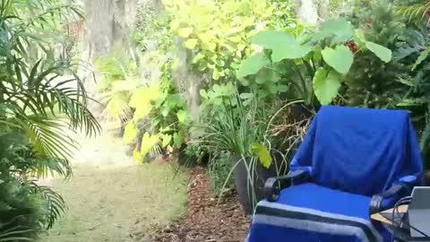 eliberator online show from 18, 1, 2025