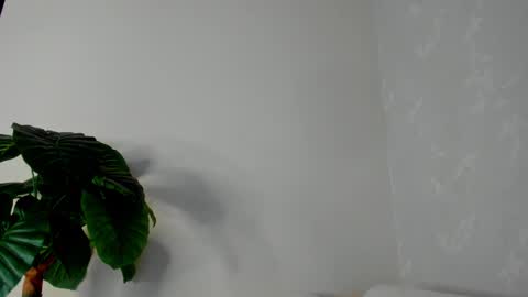 Snapshot of eliza_sanz chatting on 22, 2, 2025 My name is ElizaPVT is open online show from 22, 2, 2025