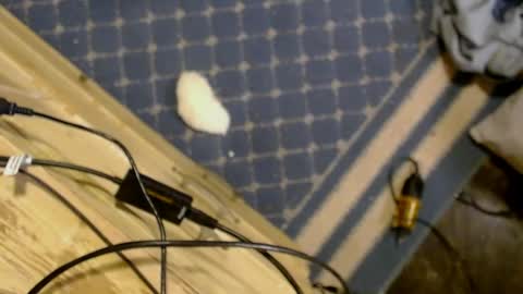 elizabeth_aron online show from 29, 3, 2026